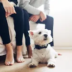 Harry's &